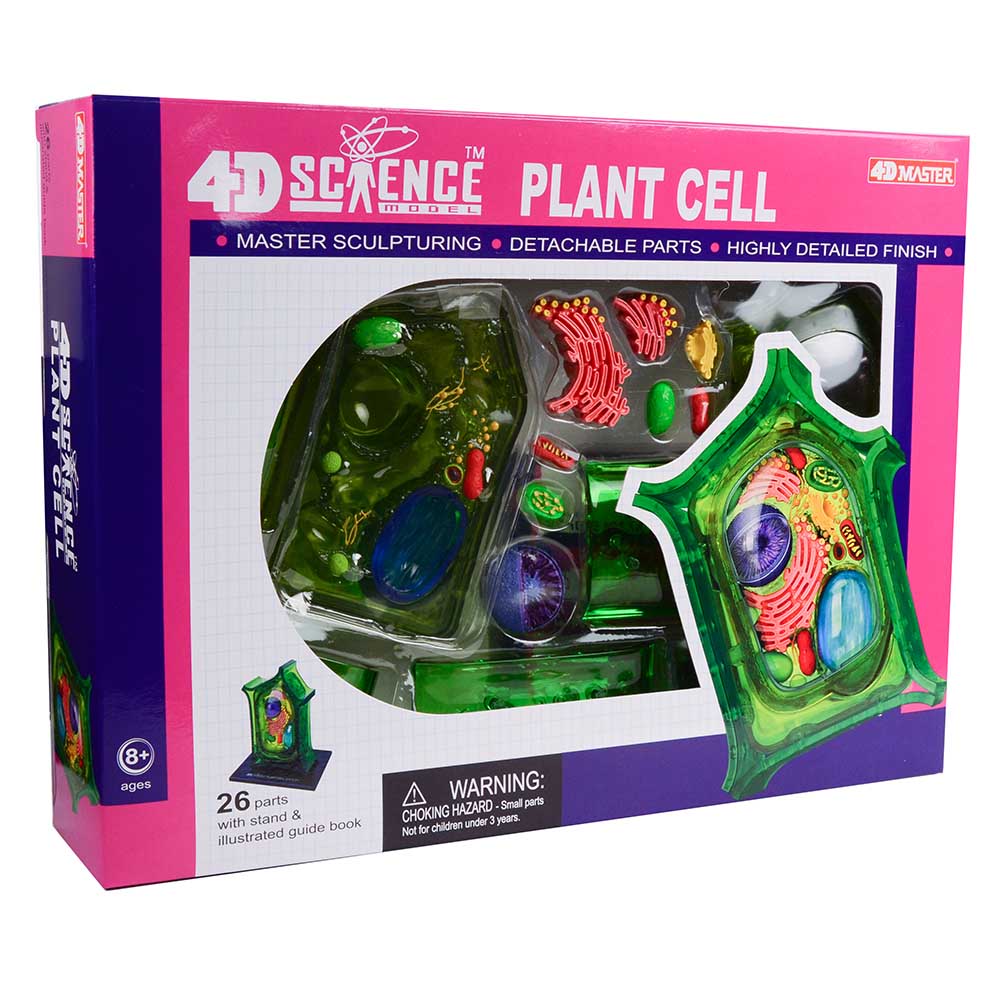 4D Science Plant Cell - TEDCO toys