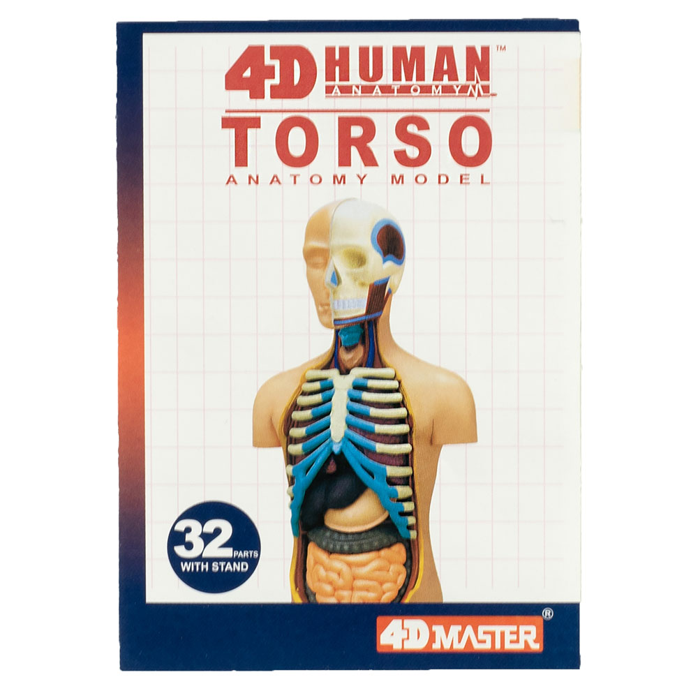Mano Umano Anatomia Modello/Puzzle 4D Kit #26057 Tedco Scienza Giocattoli 
