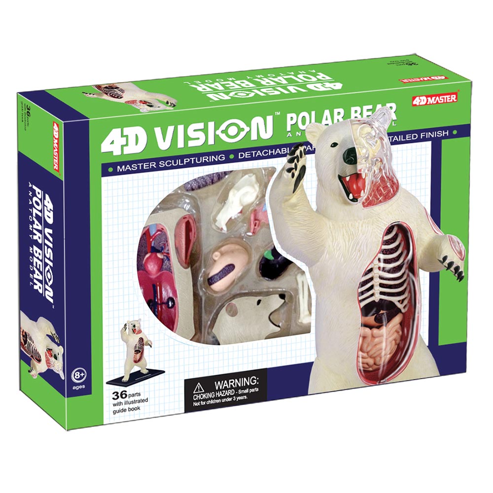 Pferd Anatomie Modell/Puzzle 4D Vision Set #26101 Tedco Wissenschaft Spielzeug 