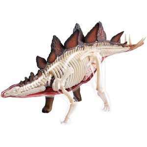 Details about   6pcs Dinosaur Skeleton Models Educational Dinosaur Figures Toys For Ki