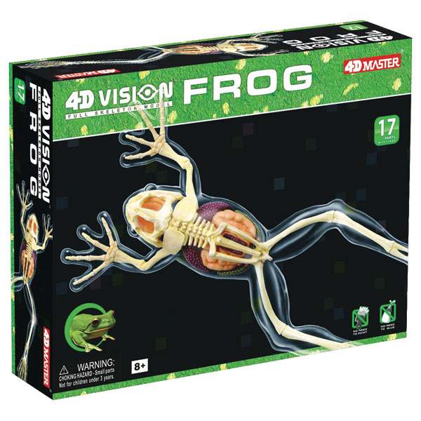 3D Large Frog Anatomy Learning Model by TedCo Toys Brand New 