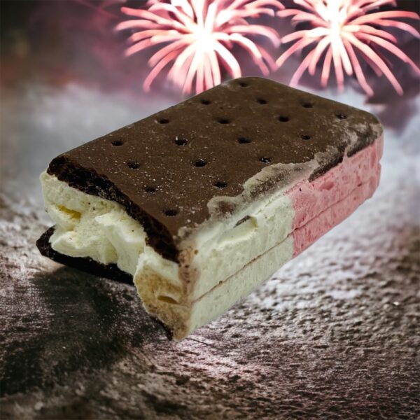half of a freeze dried ice cream sandwich unwrapped with fire works in the back ground