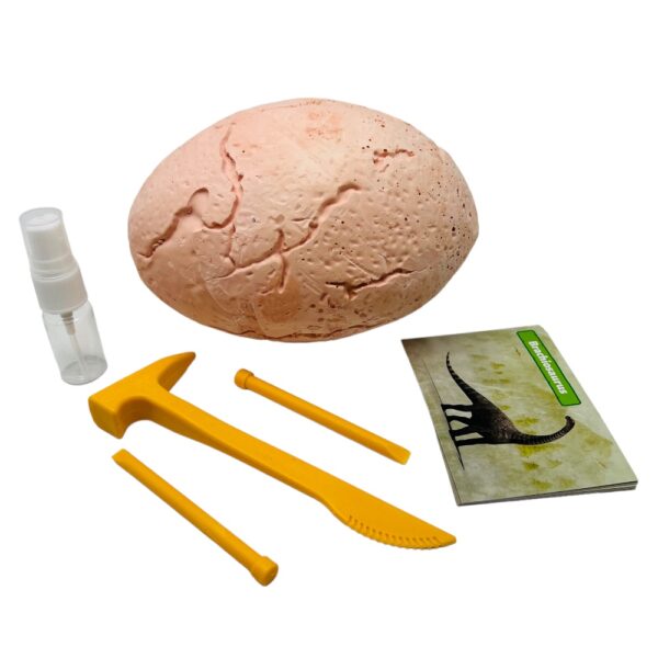 contents of the jumbo dino egg dig, egg, 3 tools. water spray bottle and informational dinosaur cards